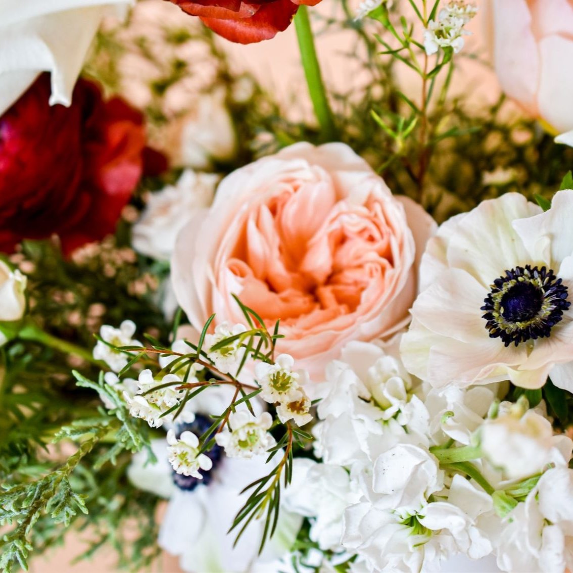 closeup of pale peach roses, white cosmos, waxflower, stock, ranunculus and holiday greens