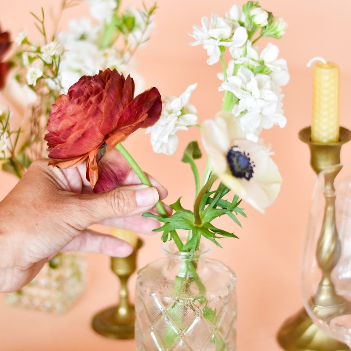 A hand placing a ranunculus in a bud vase