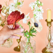 A hand placing a ranunculus in a bud vase