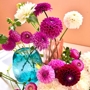 vivid blue glass vase and a coral pink glass vase surrounded by blooming dahlias